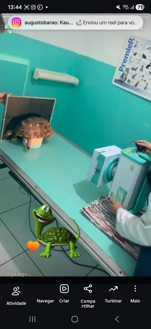 Radiografia e raio-x veterinário Max Vet