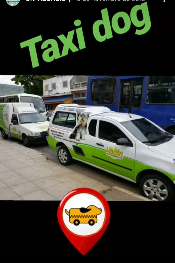 Táxi Dog Max Vet